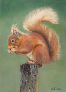 Squirrel, by artist Carol Yates